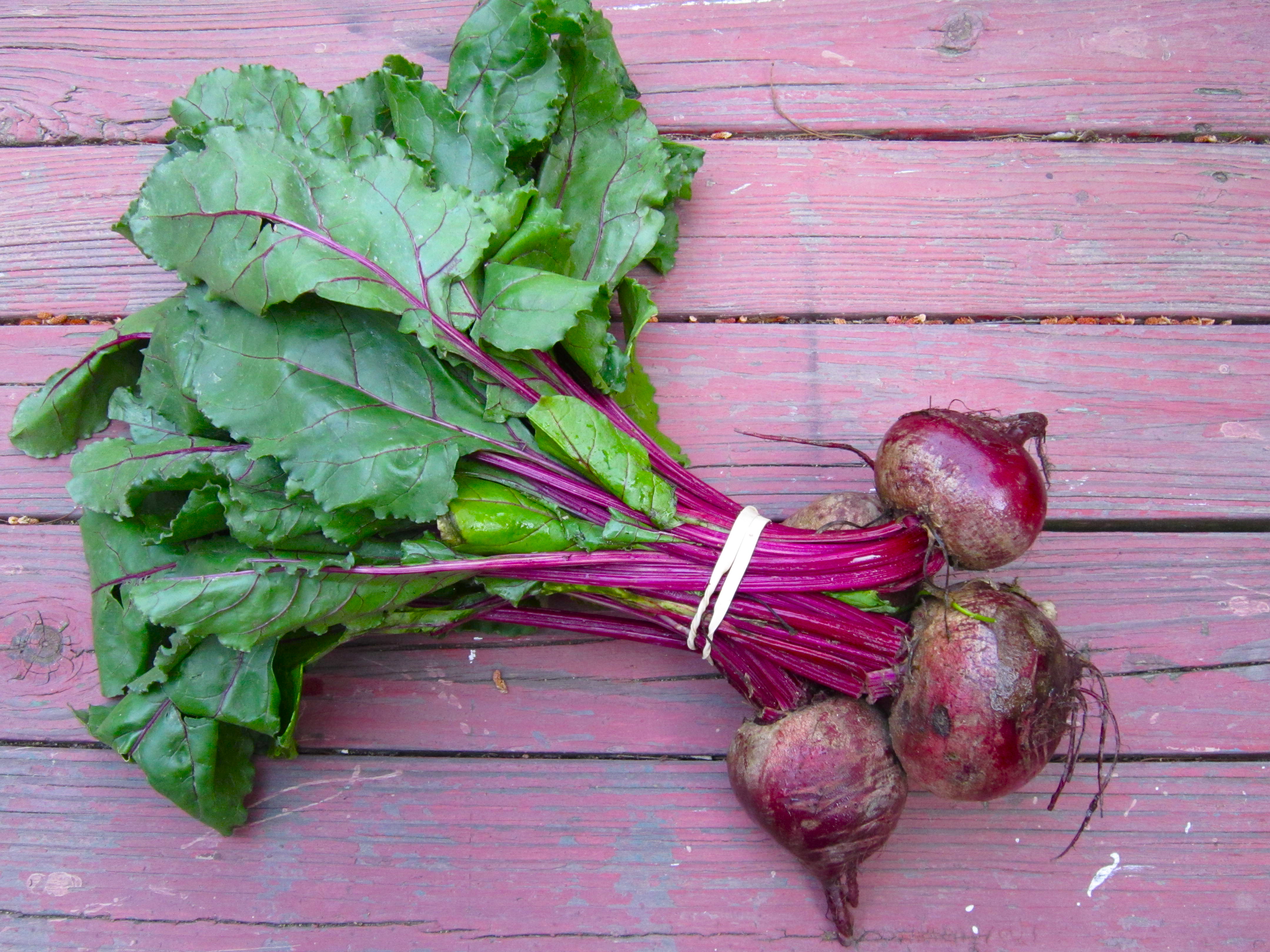 Can You Juice Beet Stems?