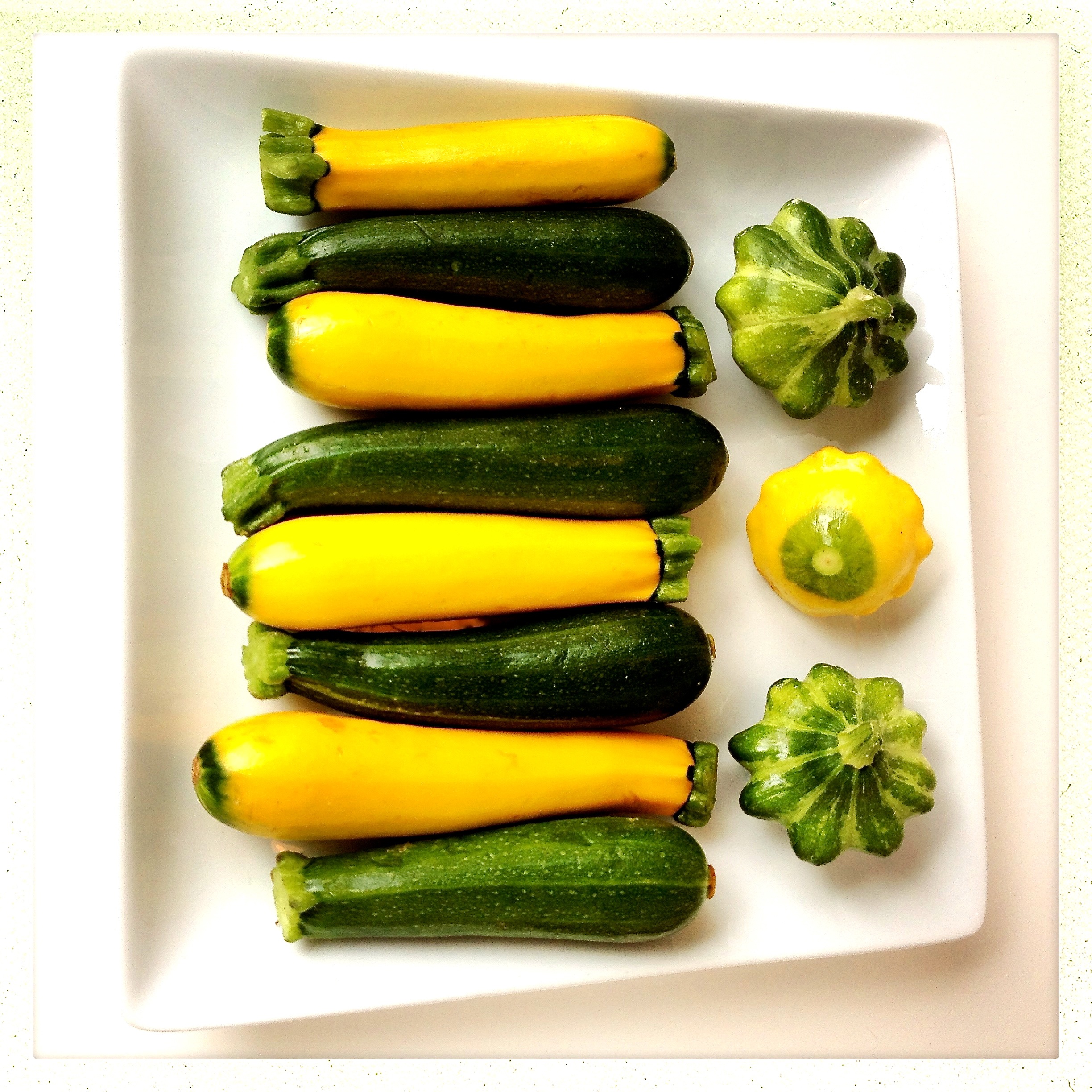 Succulent Zucchini and Other Summer Squash | Monamifood
